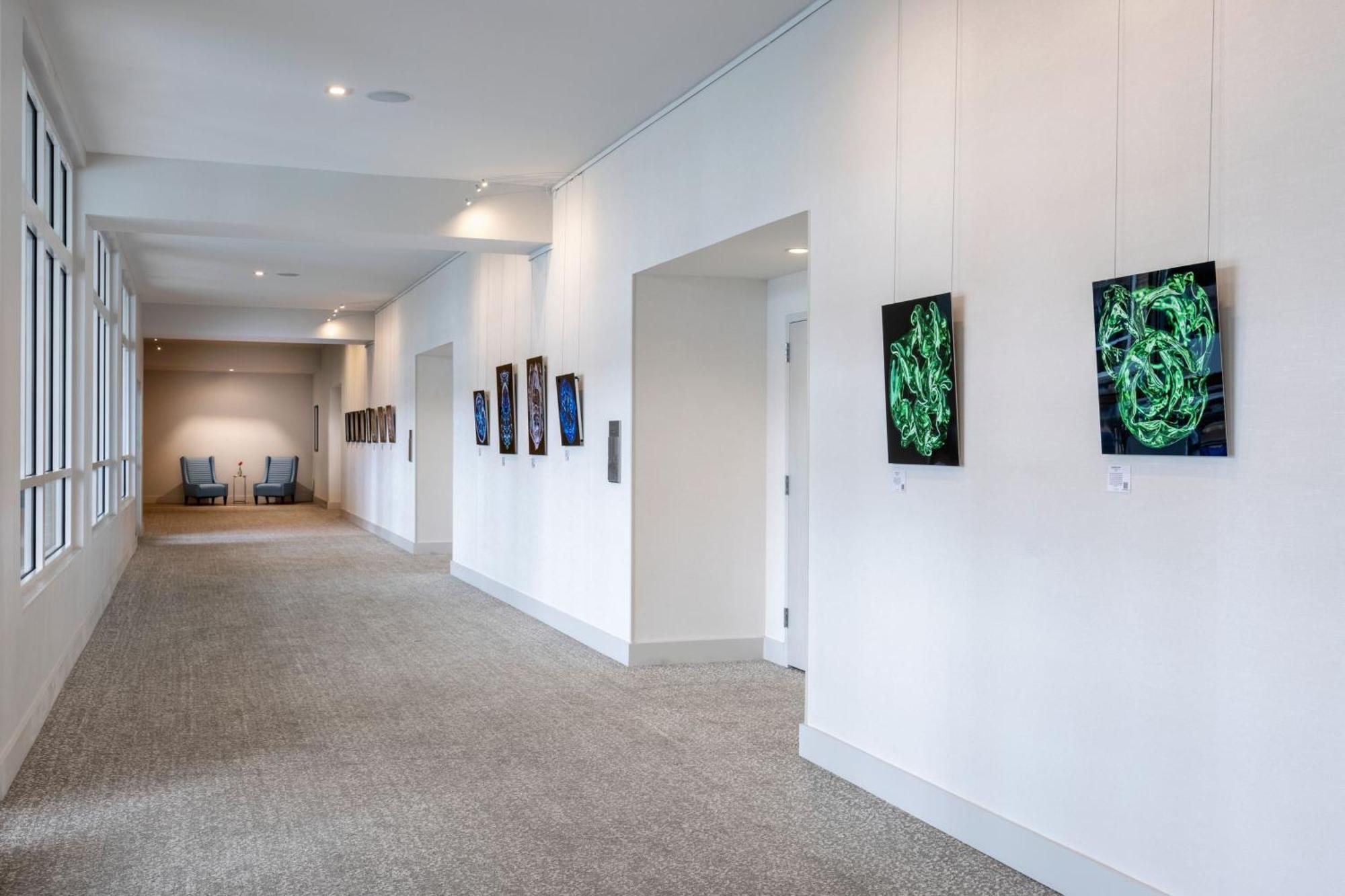 Springhill Suites By Marriott Amelia Island フェルナンディーナ・ビーチ エクステリア 写真